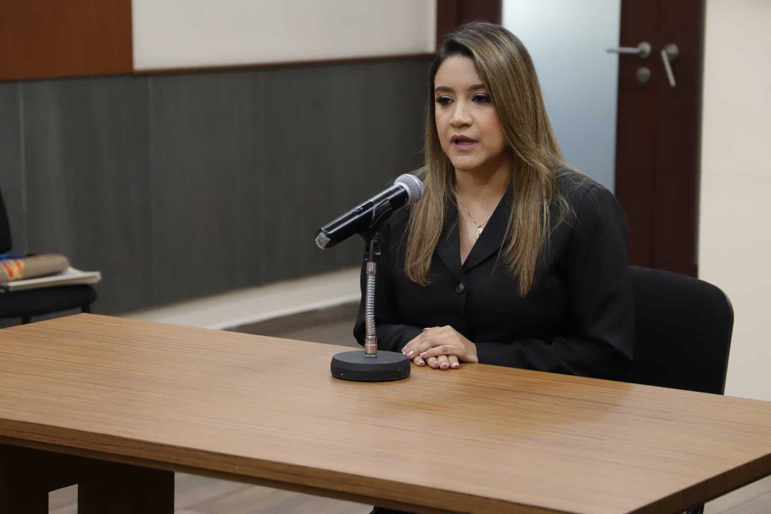 Audiencias Públicas: Unidad de Política Limpia